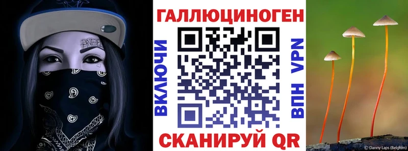 сколько стоит  Новый Оскол  Галлюциногенные грибы прущие грибы 