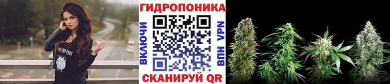 Бошки марихуана White Widow  Новый Оскол 